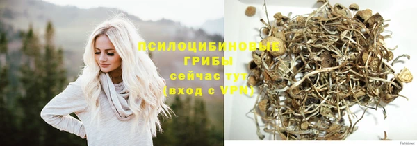 ГАЛЛЮЦИНОГЕННЫЕ ГРИБЫ Балахна